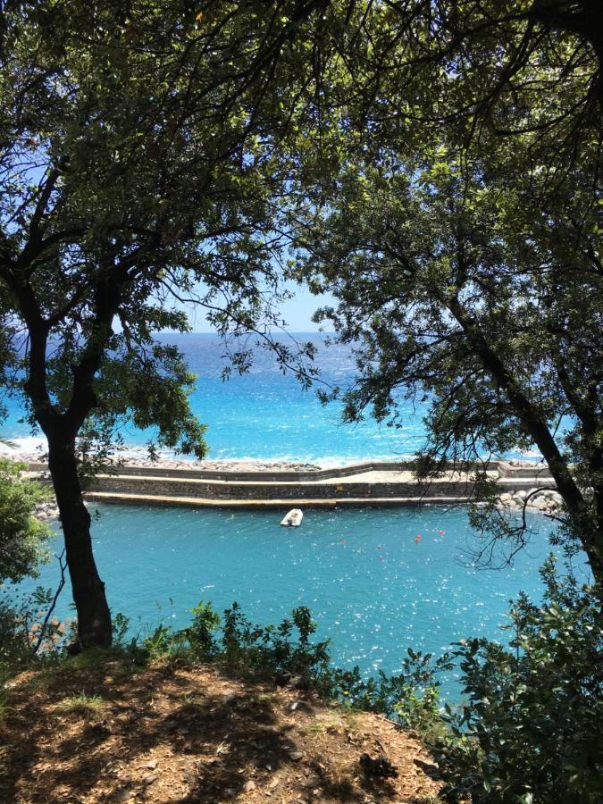 Casetta Del Marinaio Camogli Εξωτερικό φωτογραφία
