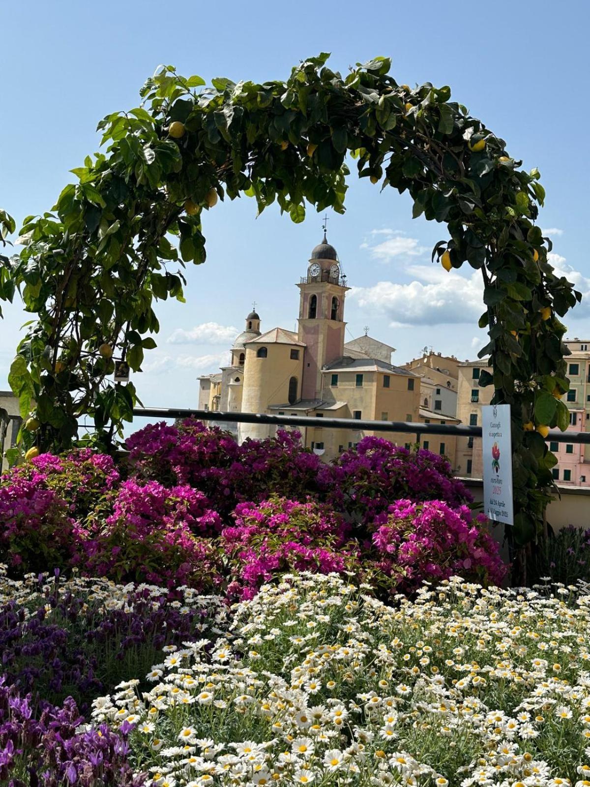 Casetta Del Marinaio Camogli Εξωτερικό φωτογραφία