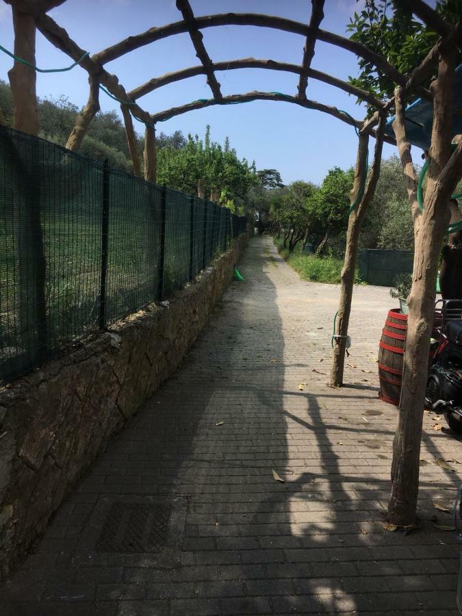 Casetta Del Marinaio Camogli Εξωτερικό φωτογραφία