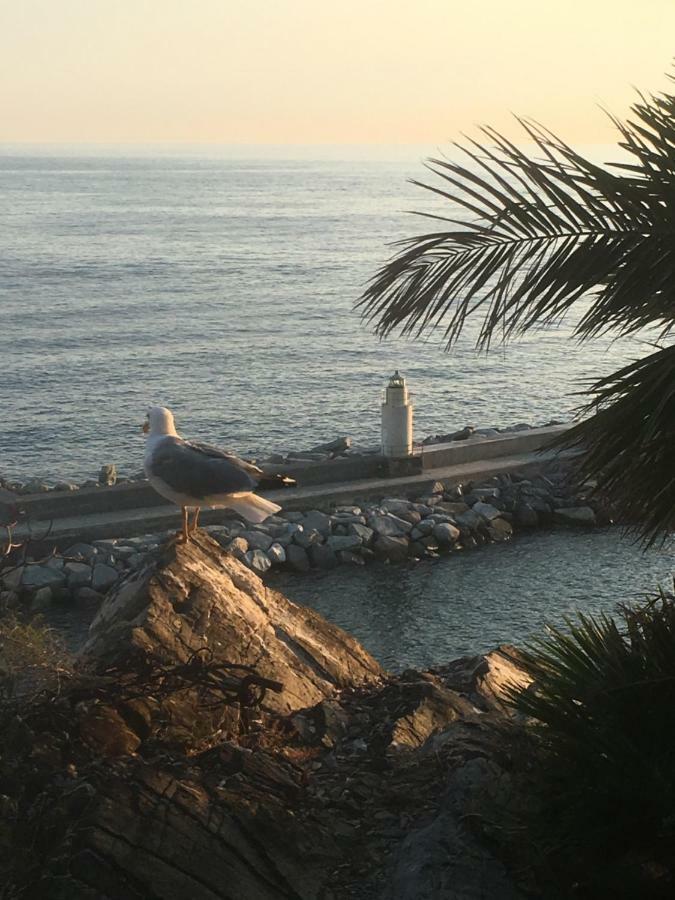 Casetta Del Marinaio Camogli Εξωτερικό φωτογραφία